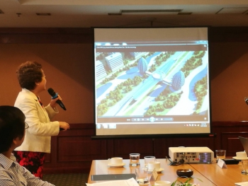 Thành phố 4 tỷ USD trục Nội Bài-Nhật Tân: Không phải "đất" cho các đại gia bán nhà
