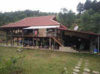 Bán khu đất đang kinh doanh nghỉ dưỡng homestay